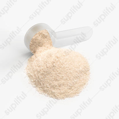 Hydration Powder (Lemonade)